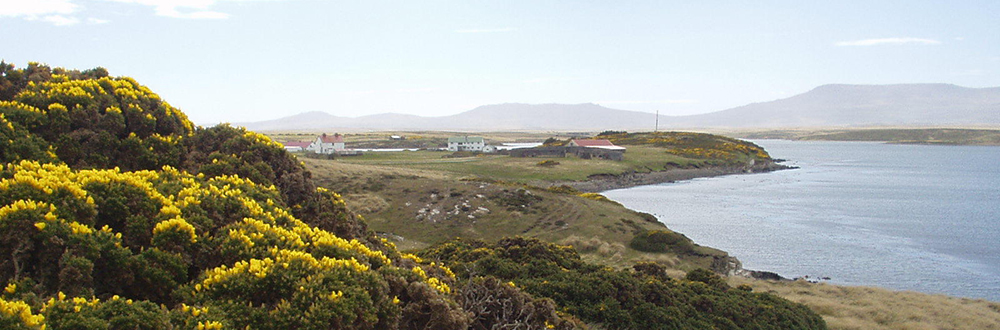 Darwin, East Falklands